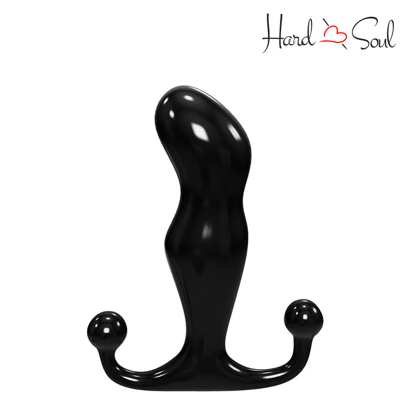 A Aneros Progasm Black Ice - HardnSoul