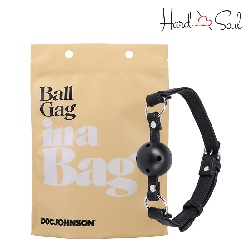 A Ball Gag In A Bag - HardnSoul