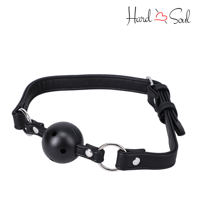 A Ball Gag In A Bag - HardnSoul