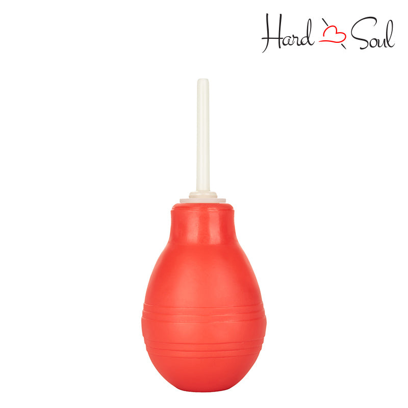 A CalExotics Anal Douche - HardnSoul