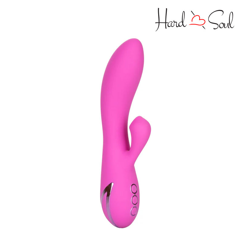 A California Dreaming Malibu Minx Vibrator Purple with adjustment button - HardnSoul