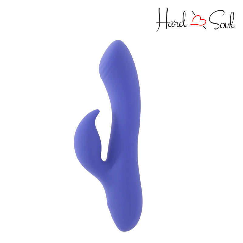 A CalExotics Connect App Controlled Dual Stimulator - HardnSoul