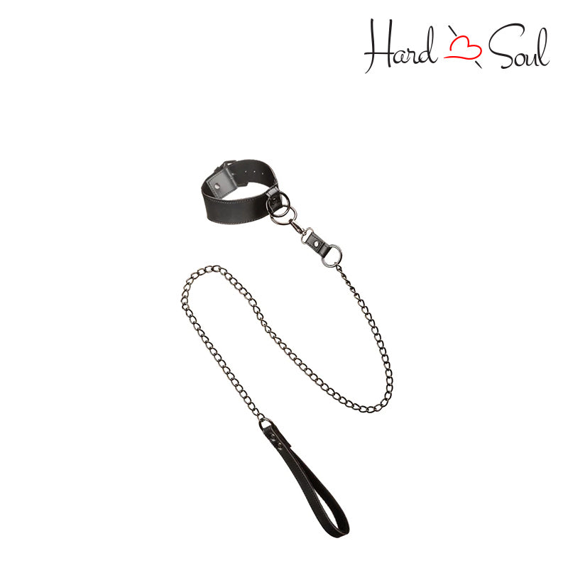 A Euphoria Collar With Chain Leash - HardnSoul