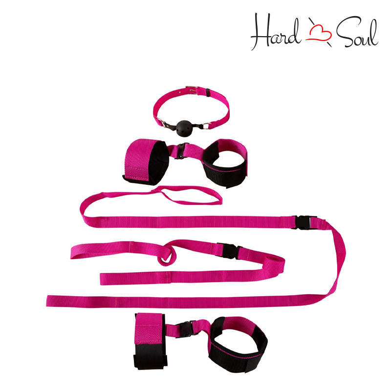 A Fetish Fantasy Pink Passion Bondage Kit - HardnSoul