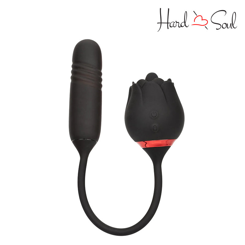 A French Kiss Elite Vibrator Romeo - HardnSoul