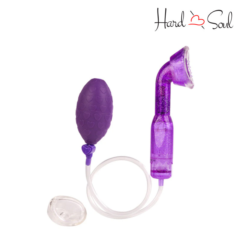 An Intimate Pump The Original Clitoral Pump Purple - HardnSoul