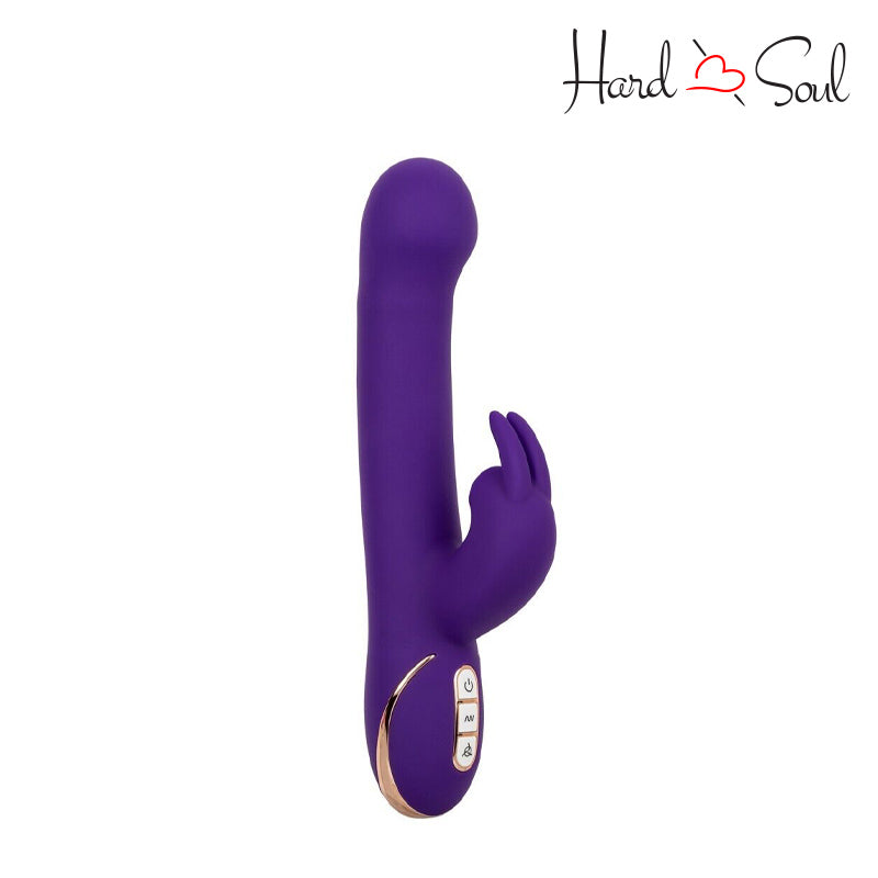 A Jack Rabbit Signature Suction Rabbit Vibrator Purple with adjustment buttons  - HardnSoul