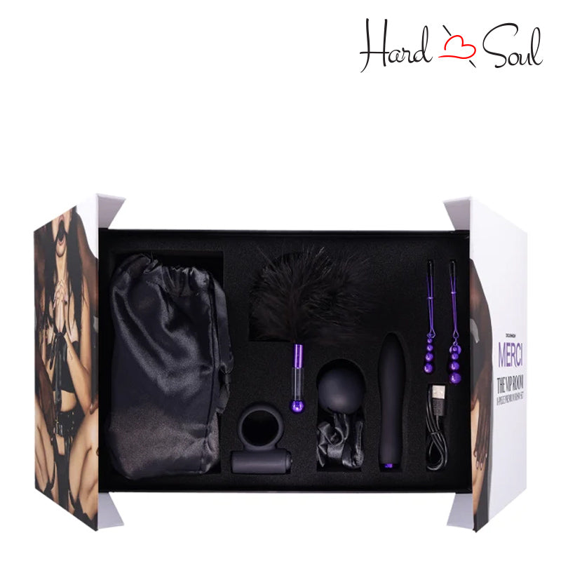 In box of Merci The VIP Room BDSM Set - HardnSoul