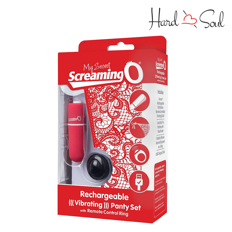 Front Side of My Secret Rechargeable Panty Vibe Set Red - HardnSoul