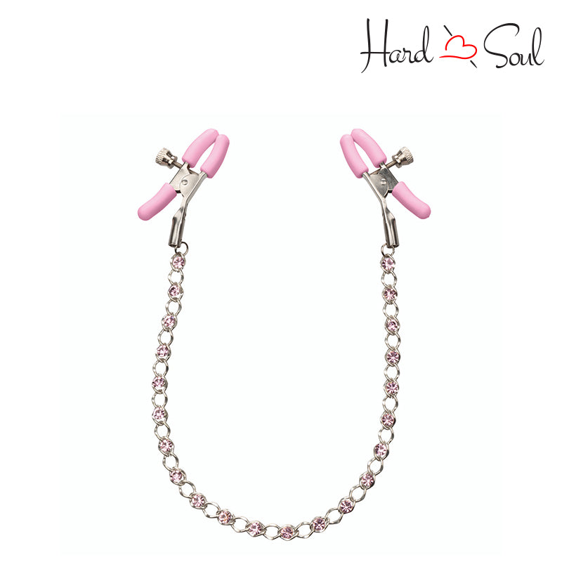 Front Side of a Box of Nipple Play Crystal Chain Nipple Clamps Pink - HardnSoul