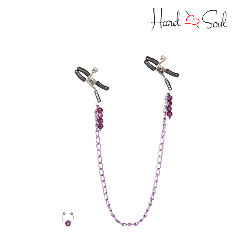 Front side of Nipple Play Purple Chain Nipple Clamps and a piercing ring left side of it - HardnSoul