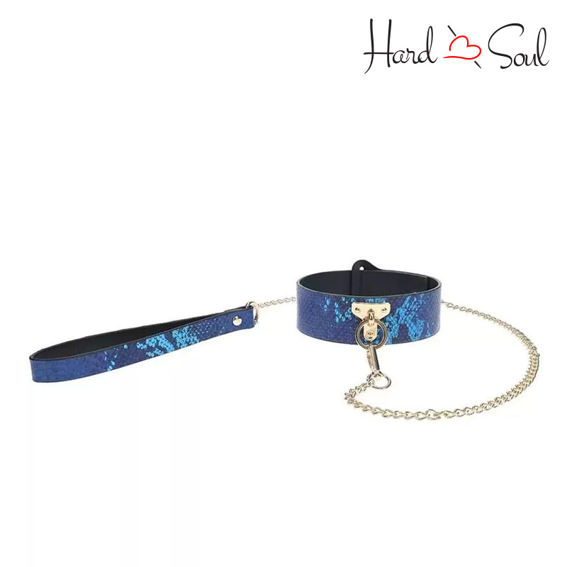 Ouch! Florence Collection Collar with Leash Blue - HardnSoul
