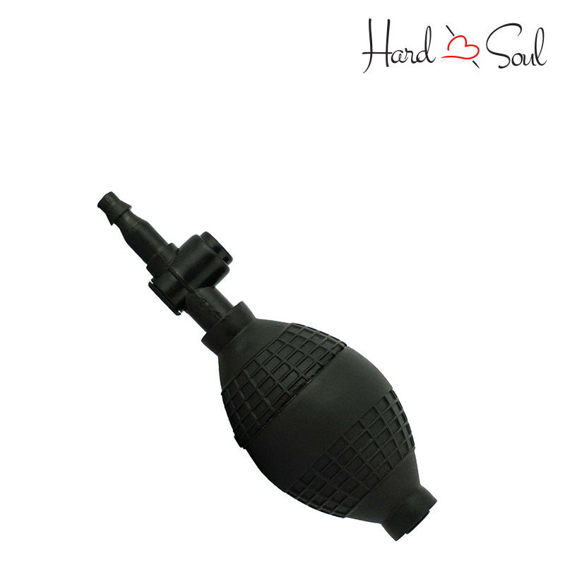 A Black Anal Balloon - HardnSoul