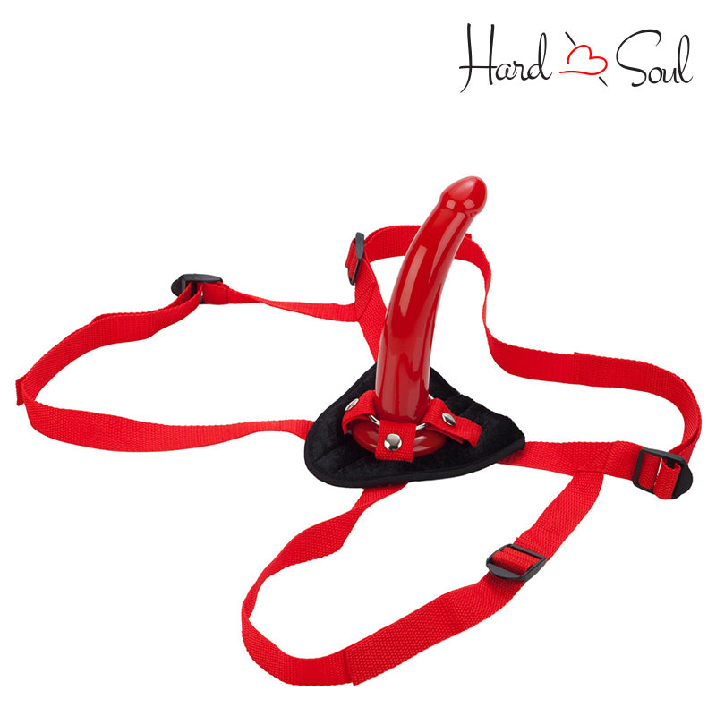A Red Rider Universal Harness With "G" Curved Dong 7" - HardnSoul