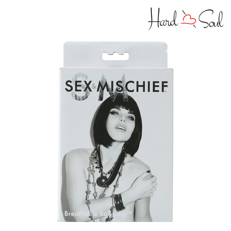 A Box of Sex & Mischief Breathable Ball Gag Black - HardnSoul