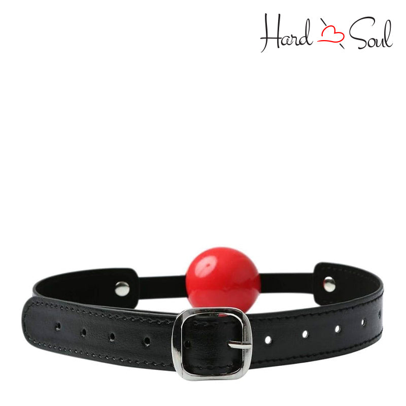 A Sex & Mischief Solid Red Ball Gag - HardnSoul