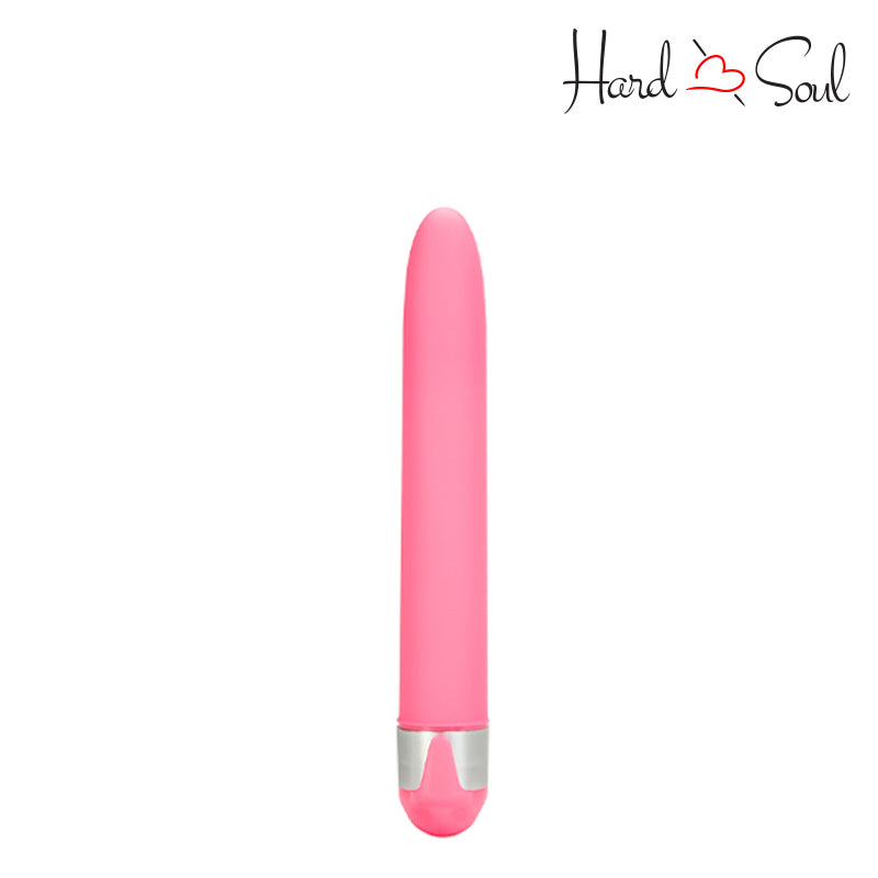 A Shane's World Sorority Party Vibe All Night Pink - HardnSoul