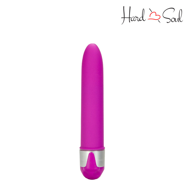 A Shane's World Sorority Party Vibe Nooner Purple - HardnSoul