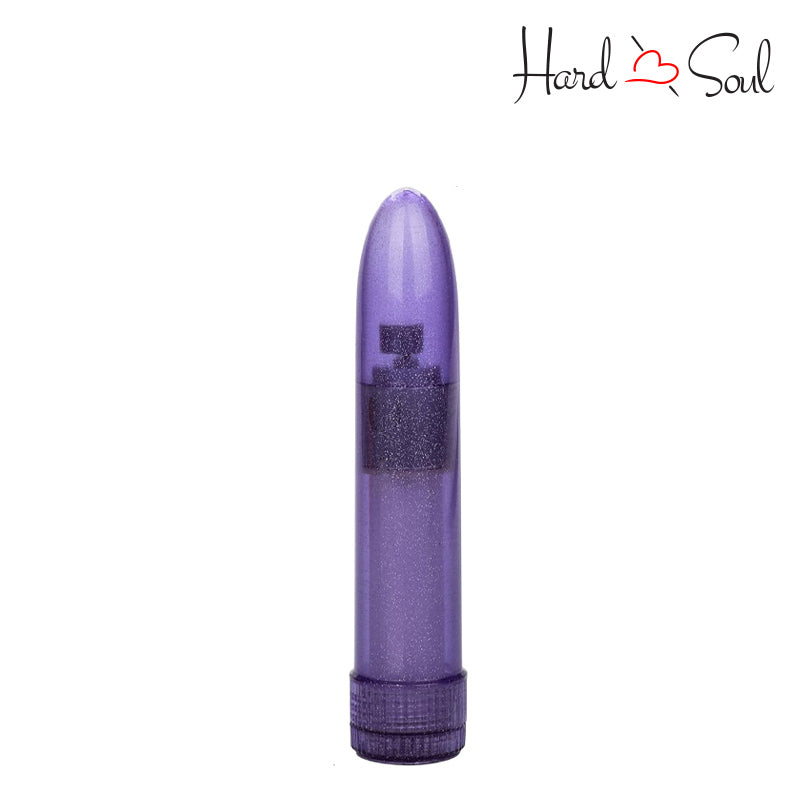 A Shane's World Sparkle Vibe Purple - HardnSoul