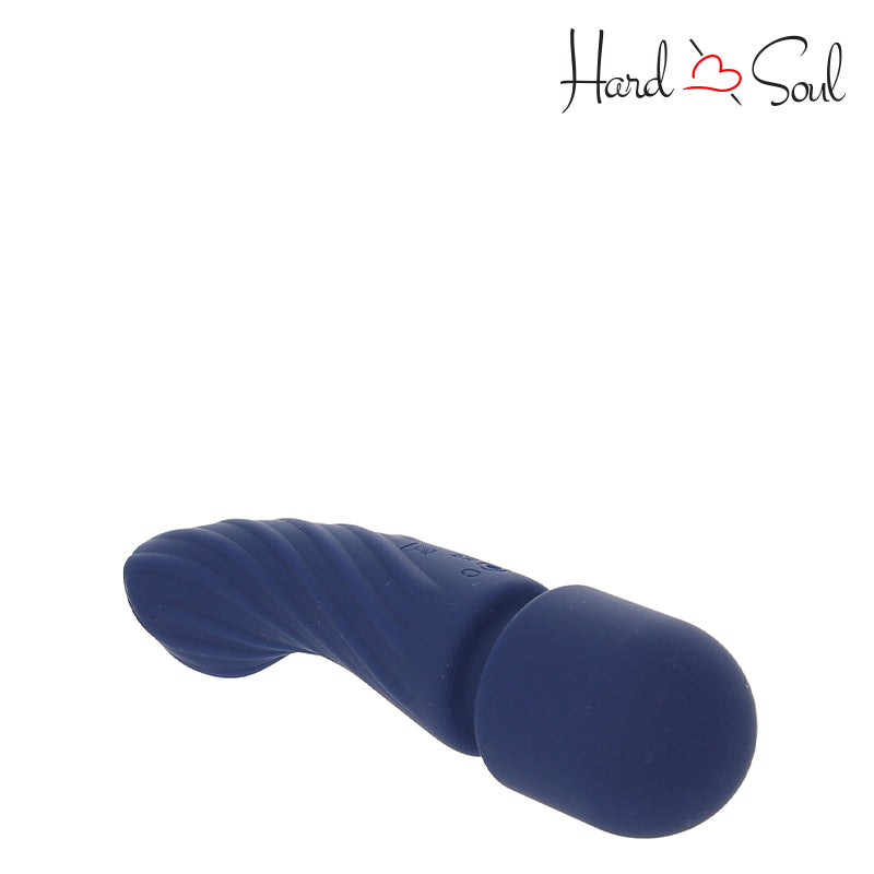 Top of Charisma Allure Rechargeable Silicone Massager Wand Blue - HardnSoul