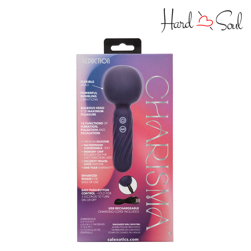 Backside of a box of Charisma Seduction Rechargeable Silicone Massager Wand Blue - HardnSoul