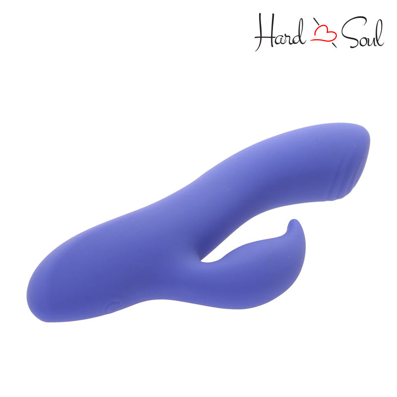 A CalExotics Connect App Controlled Dual Stimulator - HardnSoul