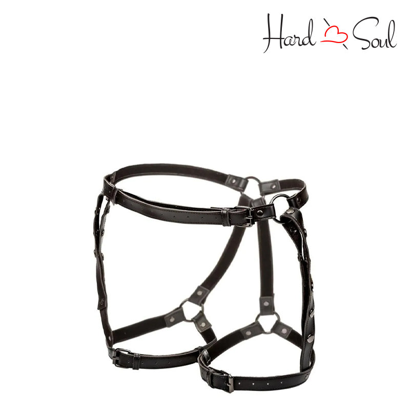 A Euphoria Riding Thigh Harness - HardnSoul