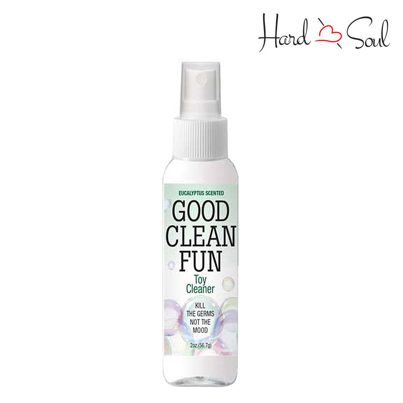 A Bottle of Good Clean Fun Toy Cleaner Eucalyptus 4oz - HardnSoul