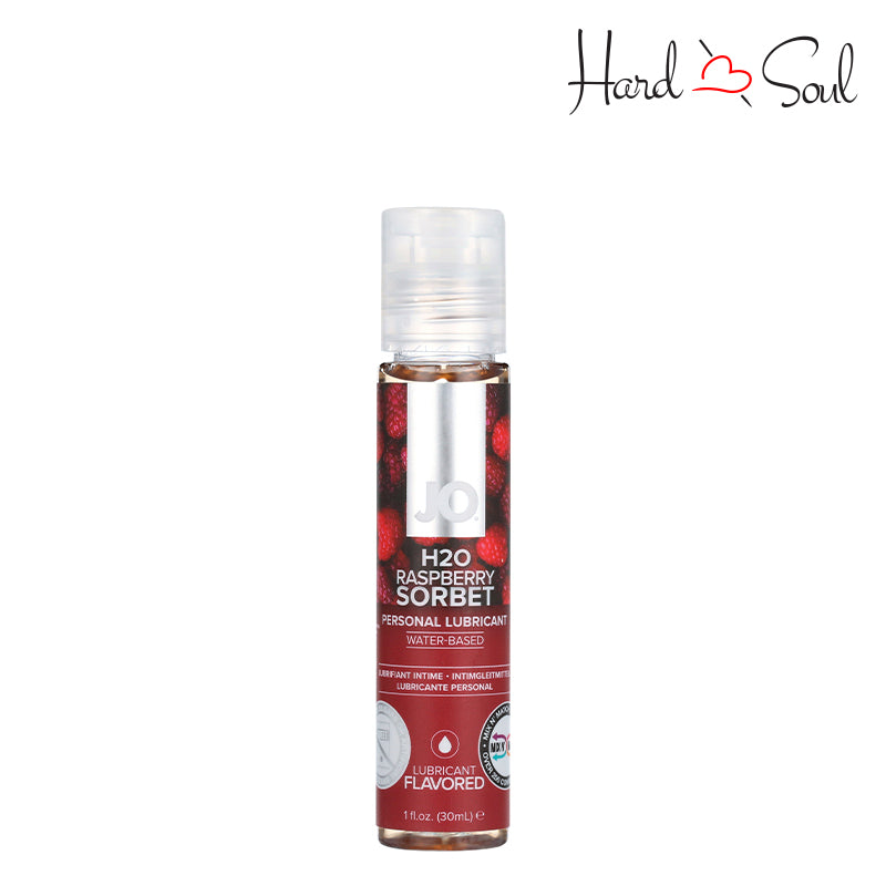 1oz bottle of JO H2O Water Based Flavored Lube Raspberry Sorbet - HardnSoul