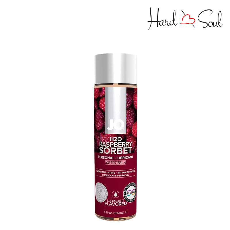 4oz bottle of JO H2O Water Based Flavored Lube Raspberry Sorbet - HardnSoul