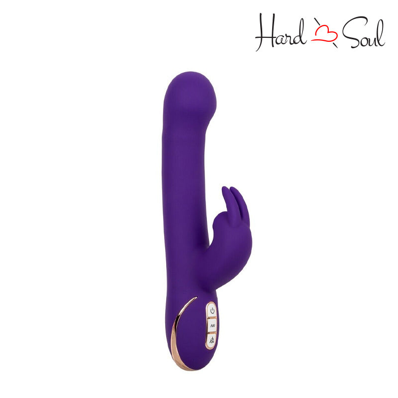 jack rabbit vibrators plusOne Waterproof and Rechargeable Dual Rabbit Vibrator : Target