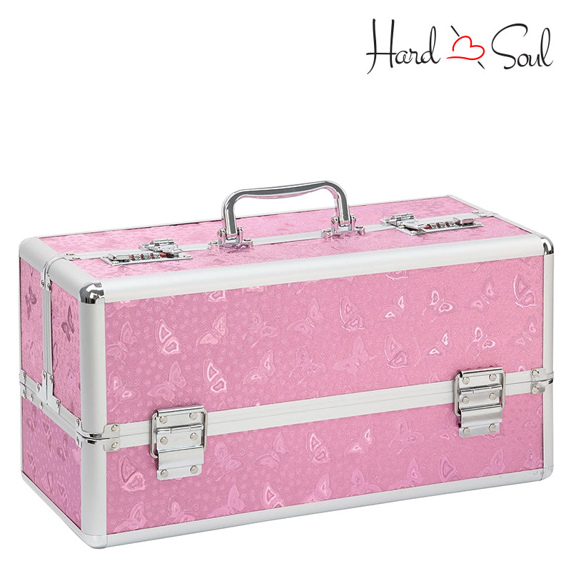 Large Pink Lockable Vibrator Case - HardnSoul 