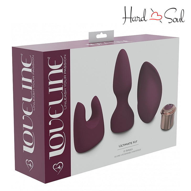 A Box of LoveLine Ultimate Kit Burgundy - HardnSoul