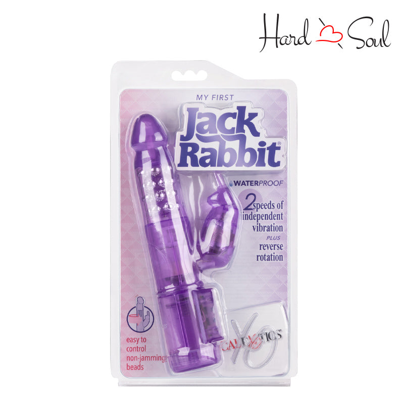 A Box of My First Jack Rabbit Purple - HardnSoul