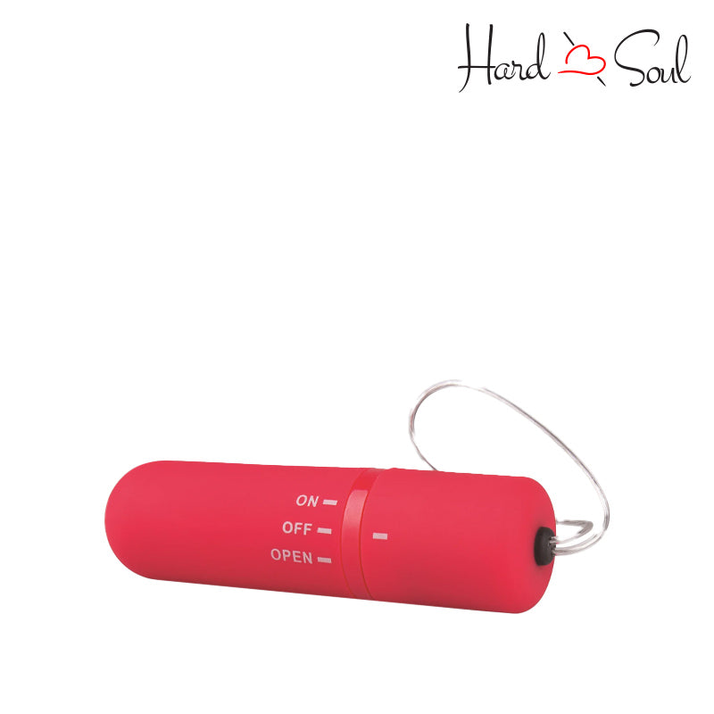 My Secret Remote Control Panty Vibe My Secret Remote Control Panty Vibe