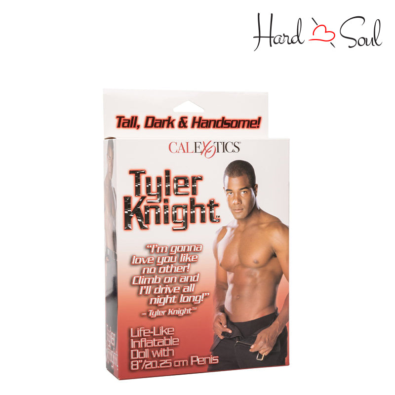 A Box of Tyler Knight Male Doll - HardnSoul